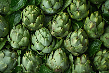 Fototapeta premium Abstract pattern of overlapping artichoke leaves, creative use of texture and green tones 