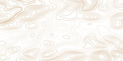 Topographic contour map. Business concept. Fish Fillet