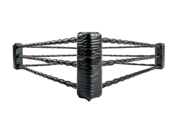 Boxing cage on isolated transparent background