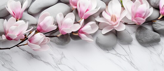 A creative composition featuring lovely spring magnolia flowers and grey stones on a white marble...