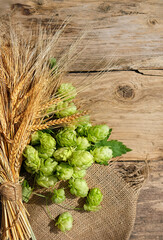 ripe rye ears and fresh green hop cones on old wooden background. Beer brewing ingredients. Top...