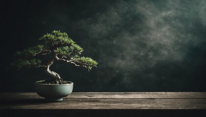 bonsai tree on rustic table, against dark background copy space 