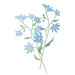 Flower. Wildflower branch. Spring summer delicate fragile flora. Floral flat hand drawn vector illustration on white background