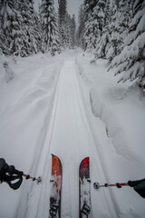 A splitboard in walking mode, two telescopic poles and a path leading into the forest where you need to go next