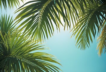 Obraz premium summer season theme with leafs of palm trees covered with shiny sun at beach behind Beach and Sea season theme