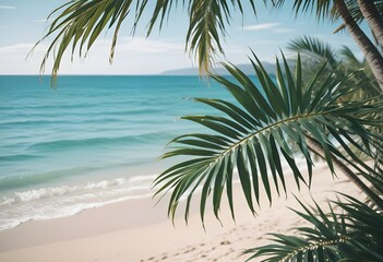 Obraz premium summer season theme with leafs of palm trees covered with shiny sun at beach behind Beach and Sea season theme