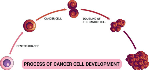 Process of Cancer Cell Development Science Diagram vector illustration