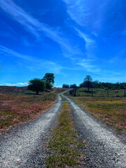 Path leading into the nature beautiful scenery with bright blue skies