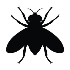 silhouette of a housefly on white