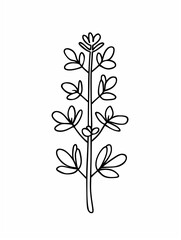 a drawing of a plant with leaves and flowers on a white background