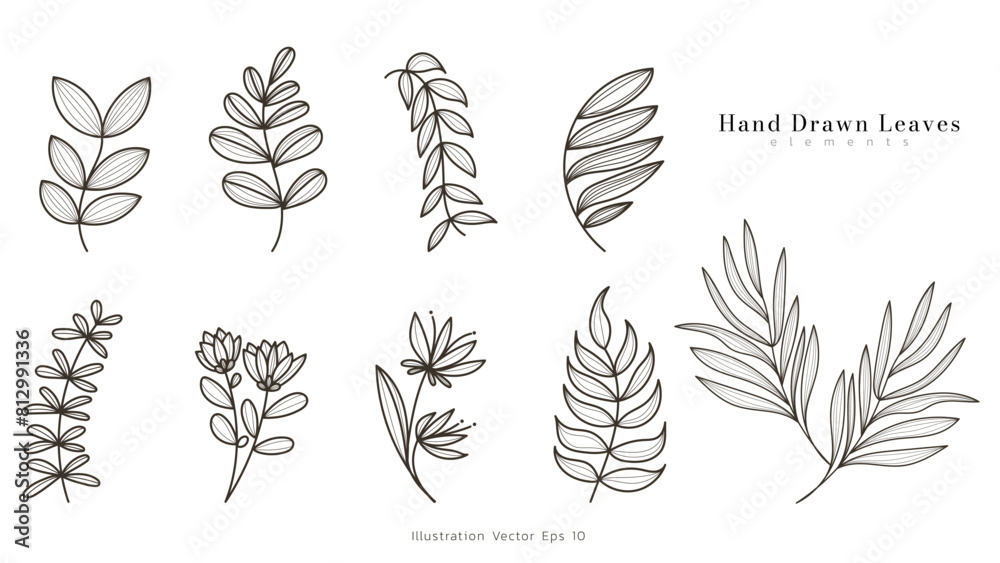 Wall mural collection set minimal drawn floral leaves botanical line art hand drawn leaves line floral branch ,