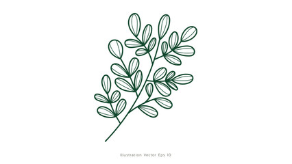 Luxury drawn floral leaves botanical gold line art set, Hand drawn leaves line Floral branch , luxury line art on white background, Vector illustration EPS 10