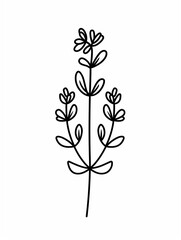 a black and white drawing of a plant with leaves