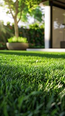 New Artificial or synthetic grass Installed Near Walkway. Ground Perspective of Artificial Grass Installation.Modern home with wooden edged artificial grass. Generative ai