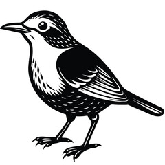 American Dipper bird icon vector  silhouette 