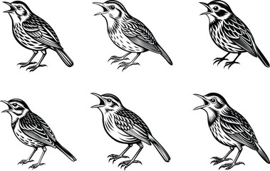 Aquatic Warbler bird screams icon vector Silhouette 