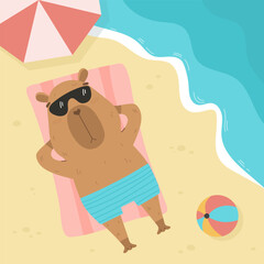 Tourist capybara lying on beach