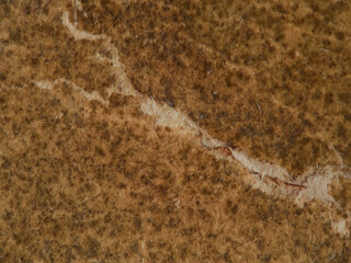 Brown paper texture. Vintage paper background