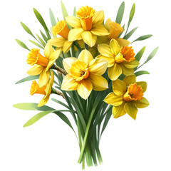Fototapeta premium Daffodil Flower Watercolor Illustration on a Transparent Background, Yellow Flower