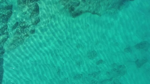 Shallow tropical seas