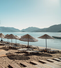 beach umbrellas on the beach