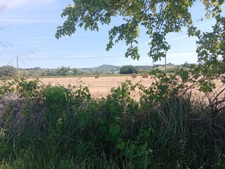 Obraz premium The countryside after sowing 