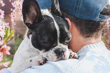 Attractive man holding a puppy in the park against the background of a trees. Clear, sunny day. Close-up, outdoor. Day light. Concept of care, education, obedience training, raising pets