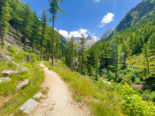 Fototapeta premium hiking trail in the mountains