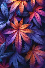 Fototapeta premium Vibrant cannabis leaves