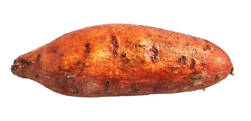 Isolated fresh sweet potato on white background illustrating healthy food and vegetarian cuisine.