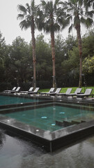 An outdoor swimming pool lined with relaxing sun loungers flanked by tall palm trees in a tranquil resort setting.