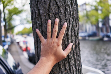 Man's hand touching tree trunk by a tranquil canal, symbolizing connection with nature in an urban...