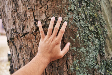 A man's hand touches the textured bark of a tree, emphasizing nature, connection, and exploration.