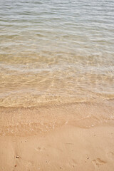 Clear waters gently wash over the sandy beach, hinting at tranquility and natural beauty without any people present.