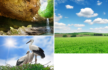 Scenic landscapes and fauna of Moldova. Free space for text. Collage.