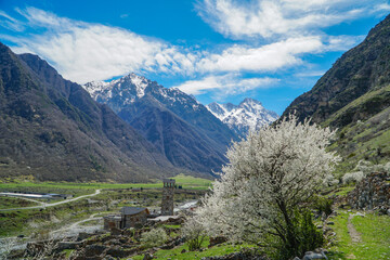 landscape in the mountains