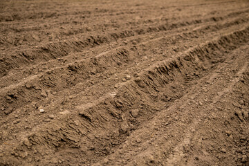 Empty plowed field at the beginning of spring season