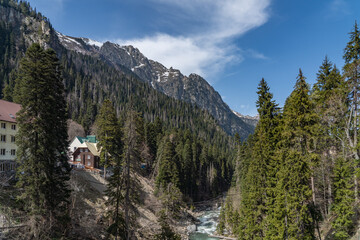 landscape with trees and mountains