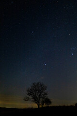 Naklejka premium Sky full of stars