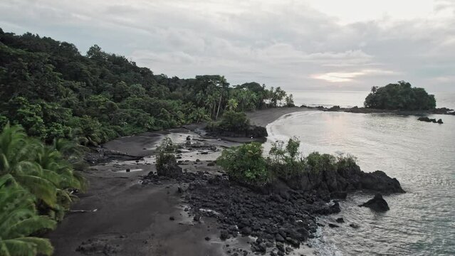 An idyllic beach with black sand and palm trees