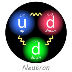 Neutron with one up quark, two down quarks, their charges and the forces between them. Vector illustration. Nuclear physics.