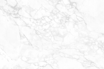 High-Resolution White Gray Marble Texture, Seamless Glitter Pattern, Luxurious Countertop View
