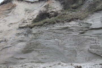 swallow holes in the wall of a sandy cliff