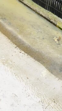 Terrace floor cleaning with a high pressure washer