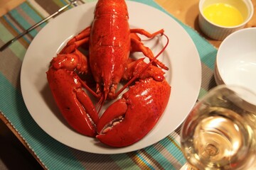 Frisch gekochter Hummer auf dem Teller im Restaurant, Stilllife mit Weisswein und geschmolzener Butter