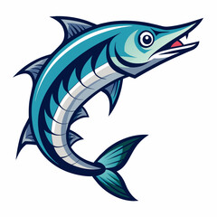  vector illustration of a  Barracuda with white background 
