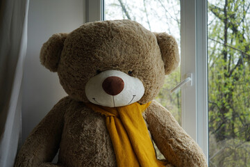  Teddy bear sitting near the window.  