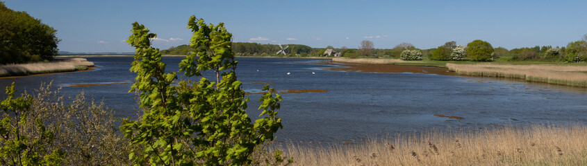 Traumhaftes Panorama auf die Geltinger Birk mit Mühle Charlotte an der Ostsee im Mai.