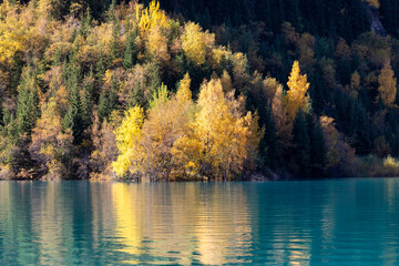 autumn landscape with lake