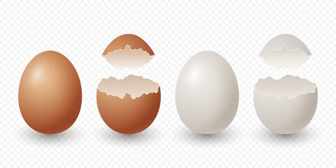 Vector 3d Realistic Brown and White Chicken Eggs. Broken Chicken Egg, Cracked Two Parts, Opened Crack Raw Chicken Egg With Yolk Closeup Isolated. Vector Eggs Isolated. Half Egg in Front View